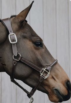 Kentucky Leather Anatomic Halter